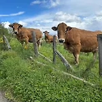 Le Domaine Du Bez La Grange Piscine,sauna,hammam,spa En Aubrac Hébergement de vacances